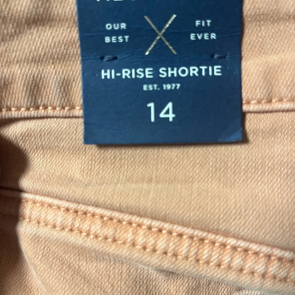 American Eagle Outfitters Pink High Waist Shorts - Picture 4 of 4